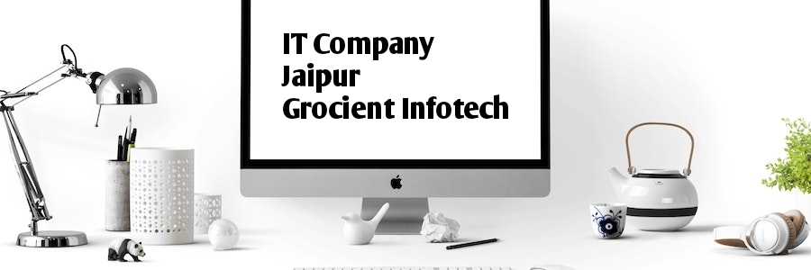Conscious Foundation Grocient Infotech software company in Jaipur IT Company